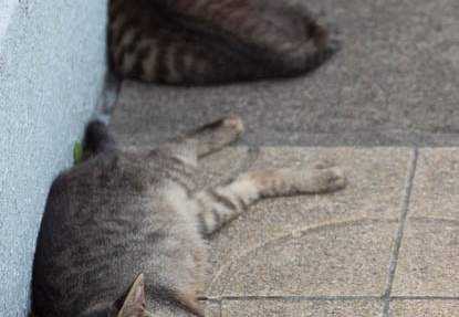 201507021354-DSC00874.jpg