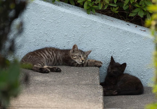 201507021355-DSC00878.jpg