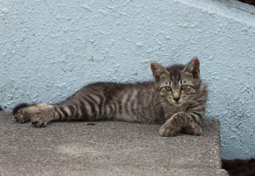 201507021356-DSC00900.jpg
