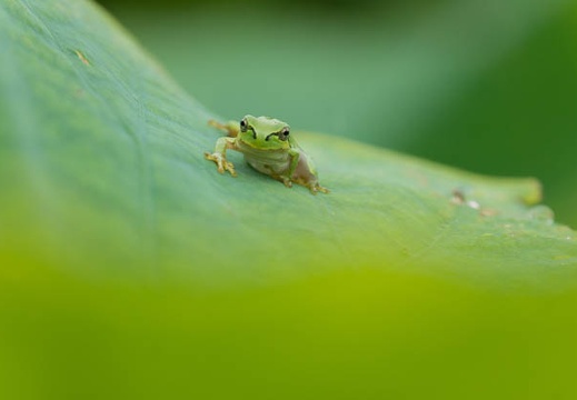 201507071123-DSC01385.jpg