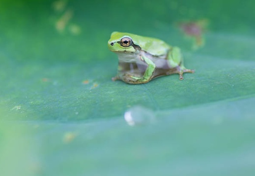 201507071147-DSC07166A55.jpg