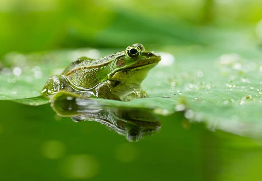 201507071158-DSC07227A55.jpg
