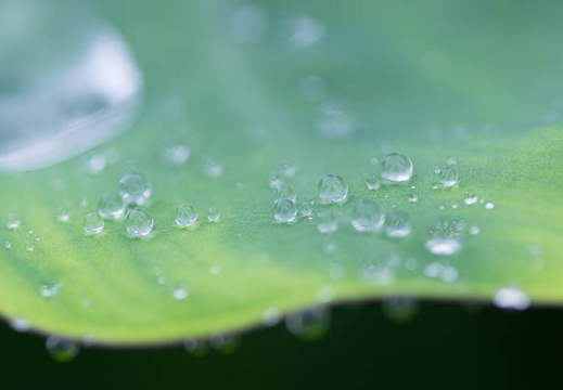 201507081134-DSC07486A55.jpg