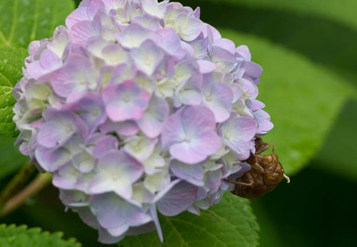 201507081154-DSC01454.jpg