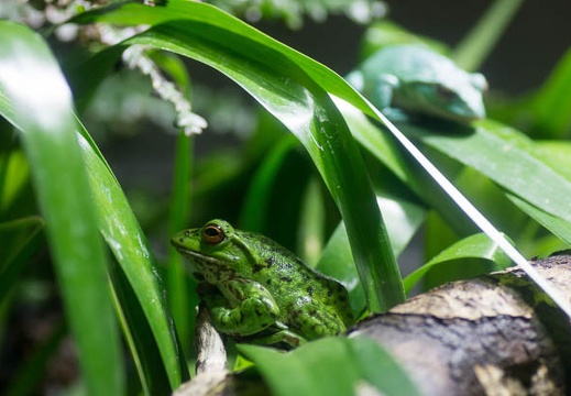 201507081219-DSC07536A55.jpg