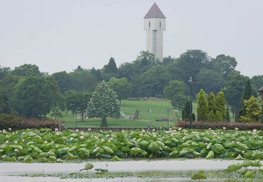 201507091434-DSC01672.jpg