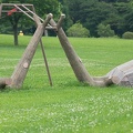 201507091452-DSC01686.jpg