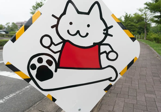 201507091504-DSC06455N6.jpg