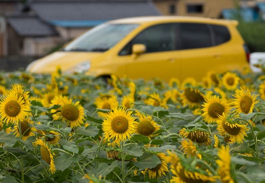 201507131111-DSC01807.jpg