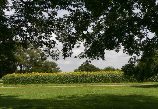 201507131403-DSC06591N6.jpg