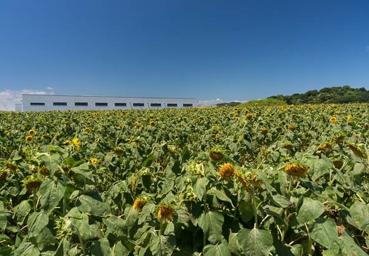 201507141043-DSC06605N6.jpg