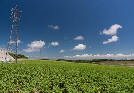 201507141050-DSC06617N6.jpg