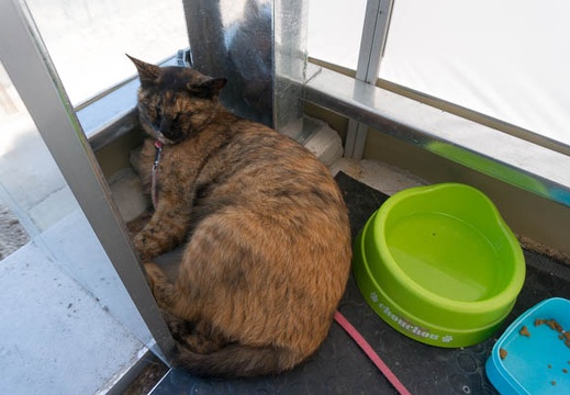 201507141109-DSC06634N6.jpg