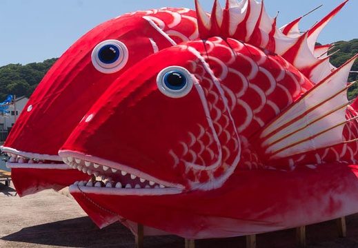 201507141343-DSC06755N6.jpg