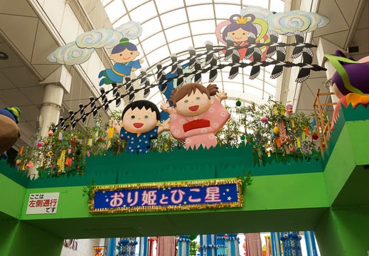 201507241242-DSC02963.jpg