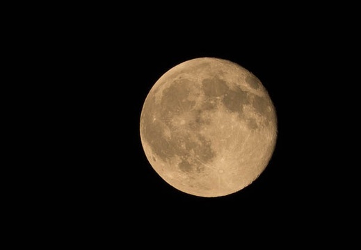 201508012118-DSC03288.jpg
