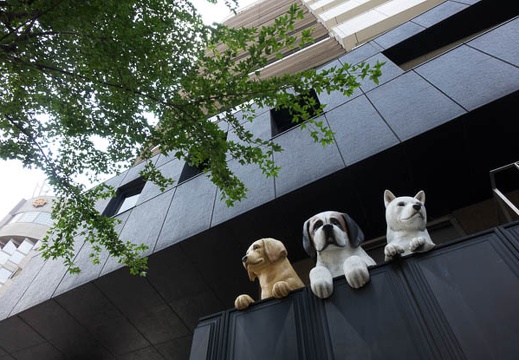 201508081259-DSC03391RX10.jpg