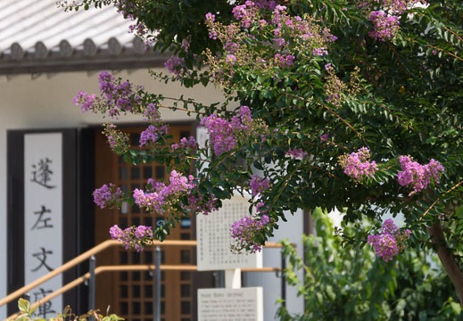 201508091404-DSC03336.jpg