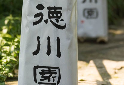 201508091410-DSC03356.jpg