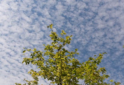 201508111425-DSC06966N6.jpg