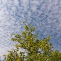 201508111425-DSC06966N6.jpg