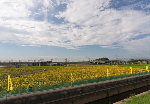 201508120725-DSC06978N6.jpg
