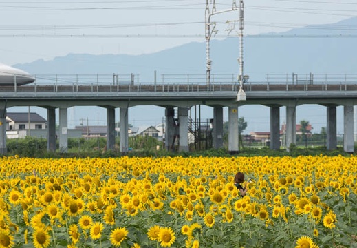 201508120729-DSC04034.jpg