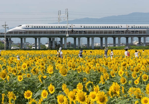 201508120840-DSC04126.jpg