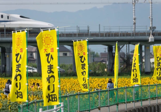201508120842-DSC04129.jpg
