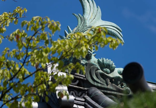 201508141340-DSC04150.jpg