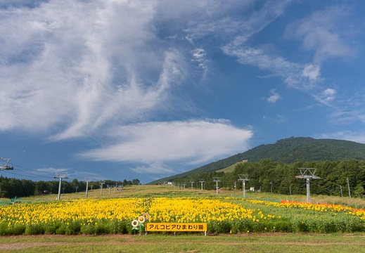 201508160725-DSC07139N6.jpg