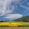 201508160725-DSC07139N6.jpg