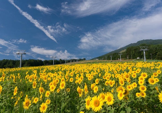 201508160754-DSC02298N5R.jpg