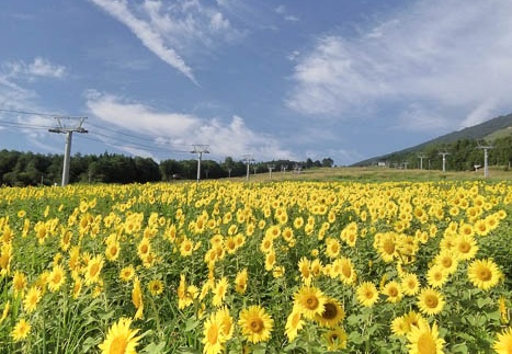 20150816075616-SH-06F.jpg