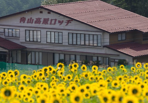 201508160808-DSC04334.jpg