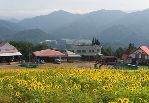 201508160810-DSC07213N6.jpg