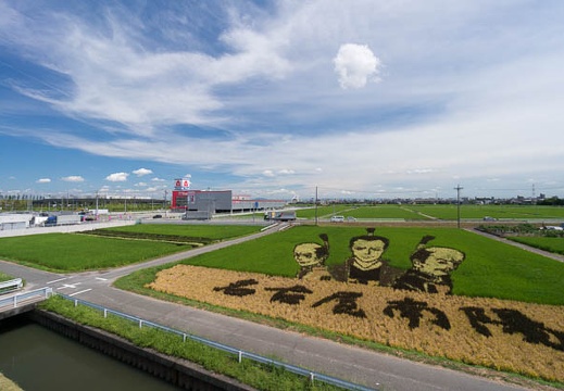 201508181205-DSC02422N5R.jpg