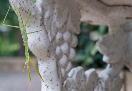201508241233-DSC07446N6.jpg