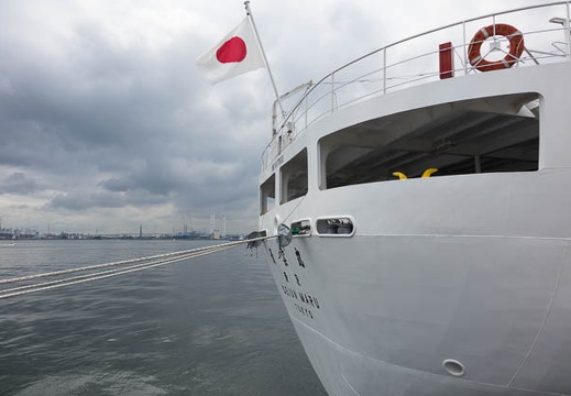 201508291052-DSC03869RX10.jpg