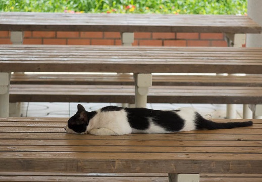 201508291057-DSC03885RX10.jpg