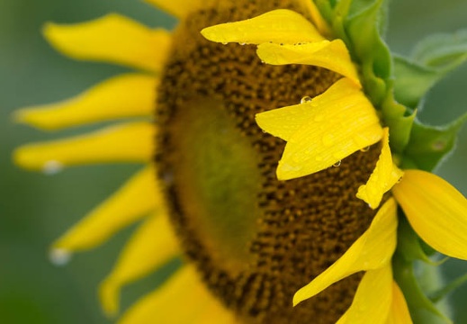 201509041140-DSC04810.jpg