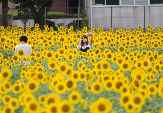 201509041253-DSC04932.jpg
