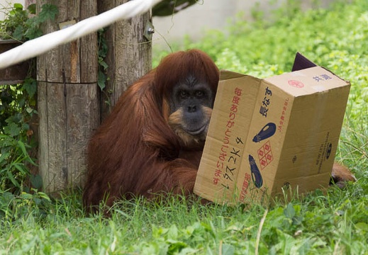 201509051356-DSC05490.jpg