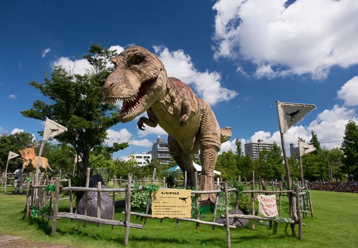 201509101118-DSC04468RX10.jpg