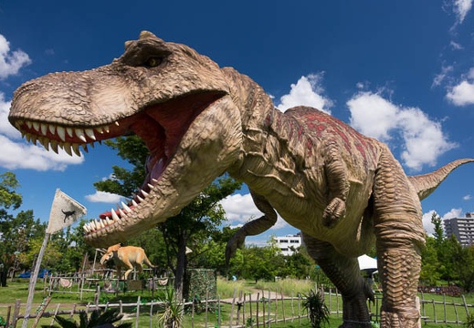 201509101120-DSC04480RX10.jpg