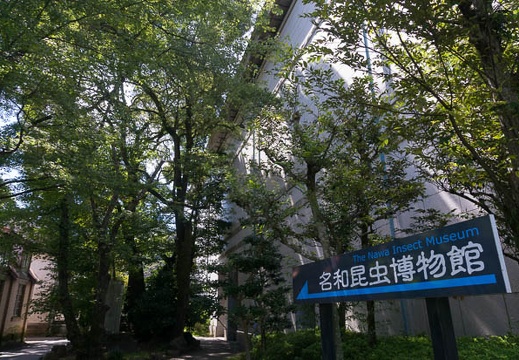 201509141134-DSC07769N6.jpg