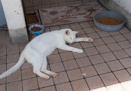 201509141136-DSC07772N6.jpg