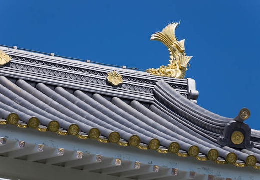 201509141244-DSC05663.jpg