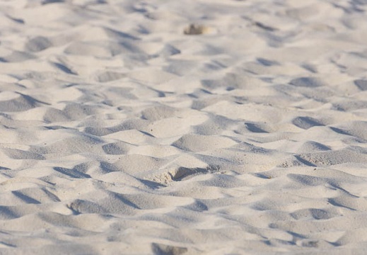 201509210714-DSC05791.jpg
