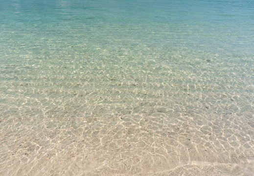 201509210801-DSC08006N6.jpg